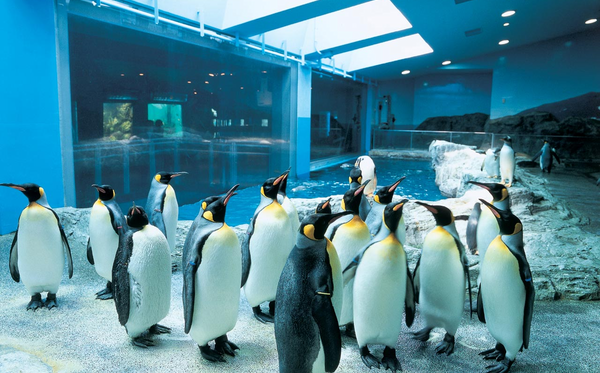 長崎企鵝水族館