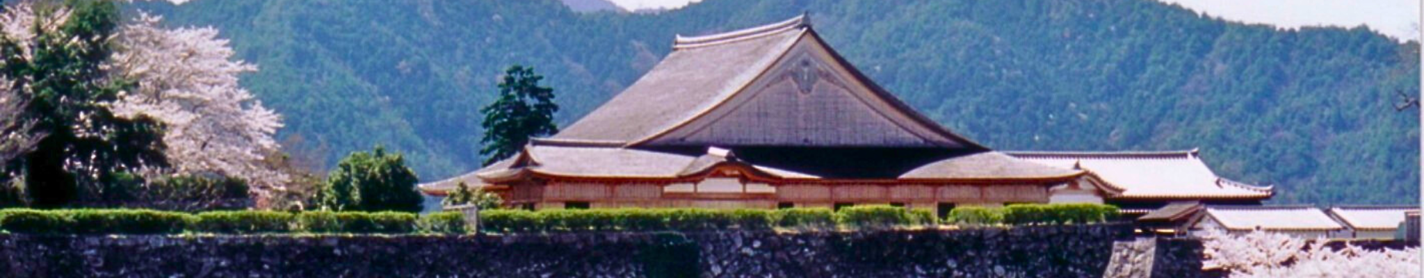 丹波深度