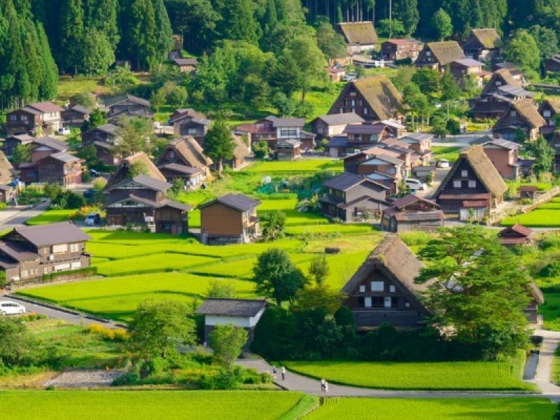 合掌村.一日